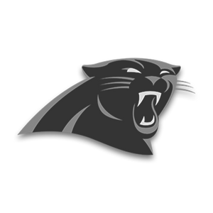 NFL Panthers Logo