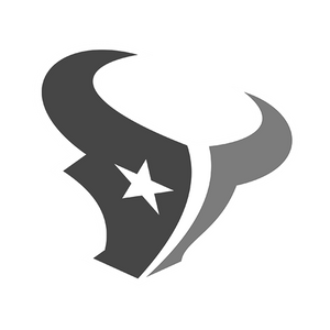 NFL Texans Logo